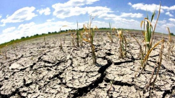 Récord temperatura global acercándose a 2 grados