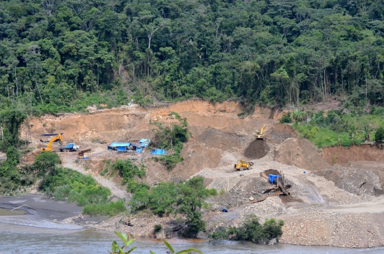 Fiebre del oro destruye las selvas sudamericanas