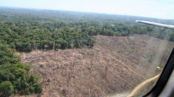 Deforestación amazónica acelera el cambio climático