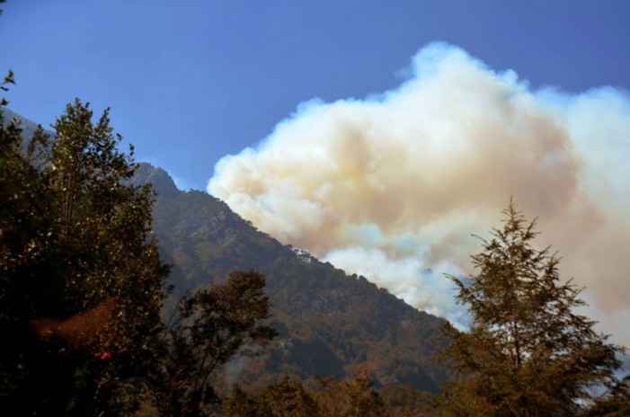 Incendios causan un desastre ecológico en el sur de Chile