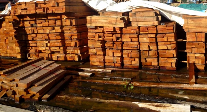 El mayor decomiso de madera ilegal de la Amazonia peruana