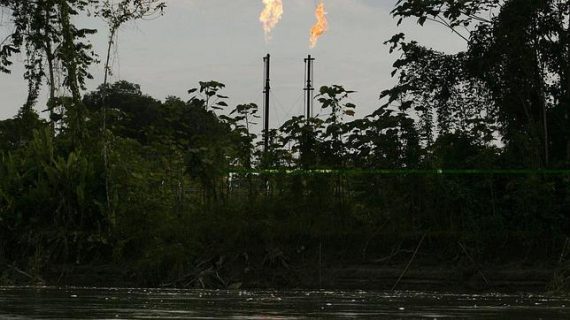 Gobierno de Ecuador aprueba explotar petróleo en Parque Yasuní