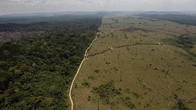 La rápida transformación de la Amazonia: causas y ritmos