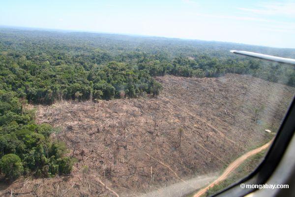 Deforestación amazónica acelera el cambio climático