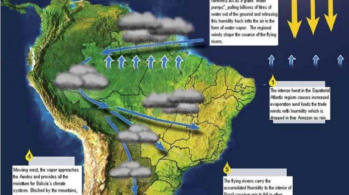 Los “Ríos voladores” de la Amazonía